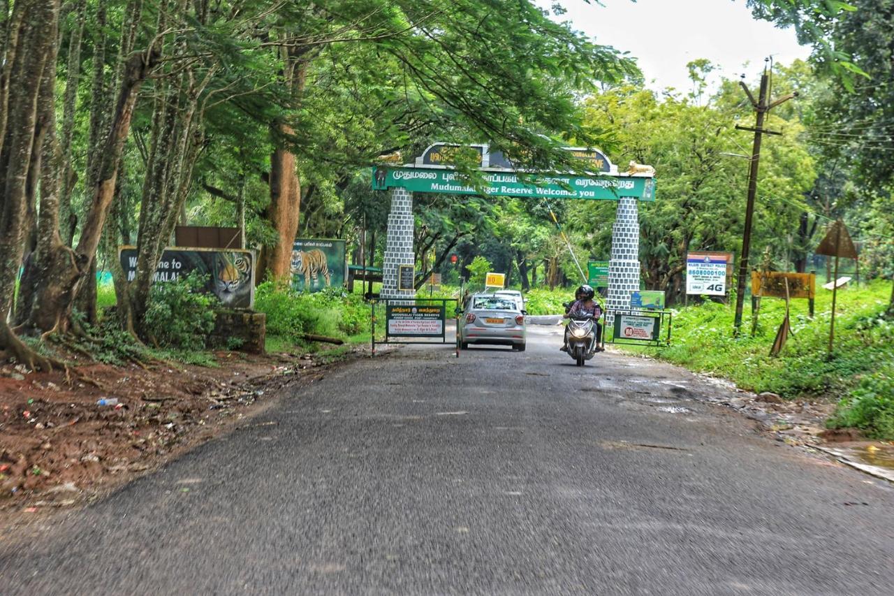Savoy - Ihcl Seleqtions Ooty Exterior foto