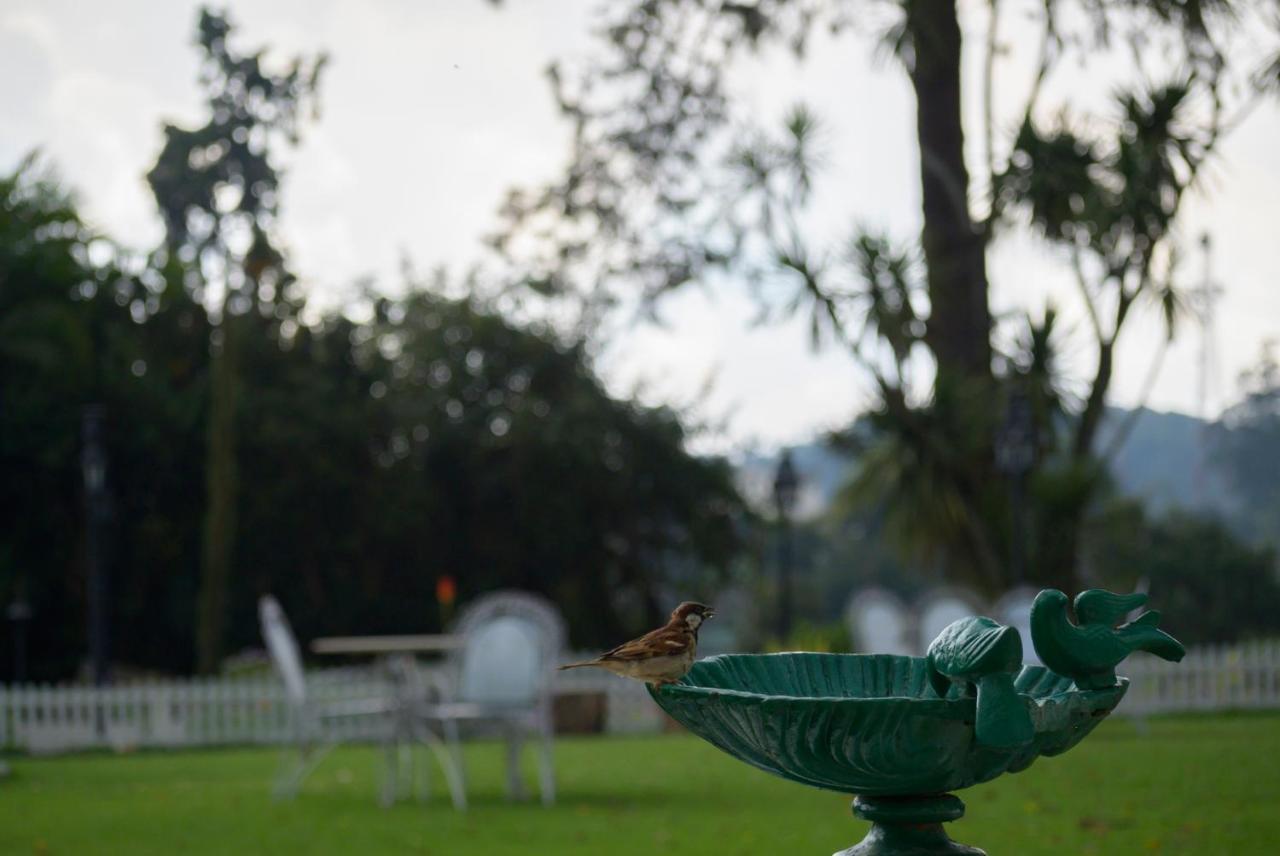 Savoy - Ihcl Seleqtions Ooty Exterior foto
