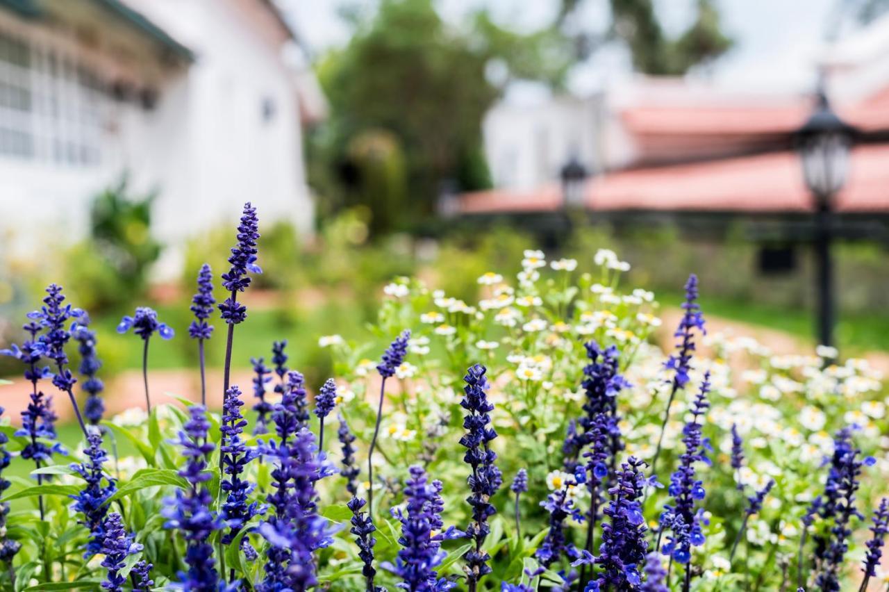 Savoy - Ihcl Seleqtions Ooty Exterior foto
