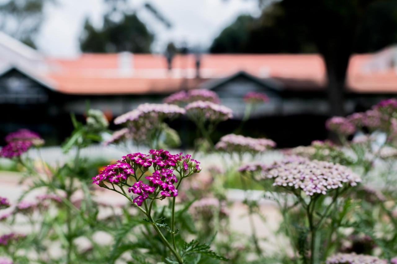 Savoy - Ihcl Seleqtions Ooty Exterior foto
